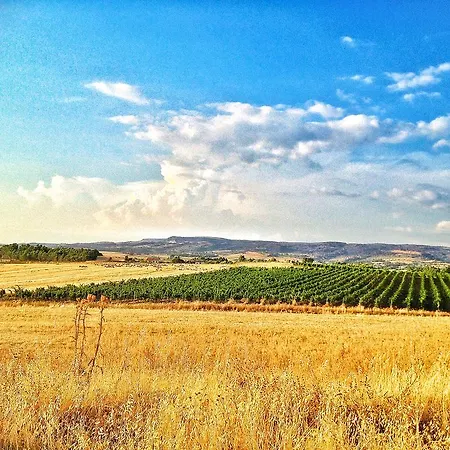 Agriturismo Furfullanu
