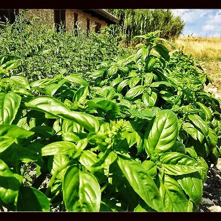 Agriturismo Furfullanu Nurallao