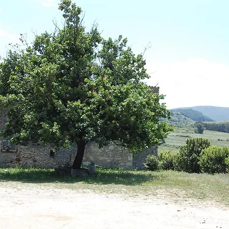 Farm stay Agriturismo Furfullanu Nurallao