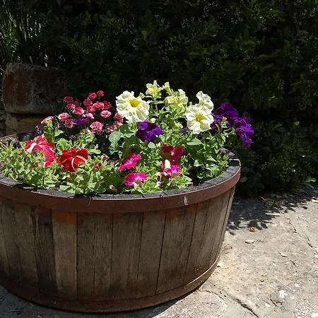 Agriturismo Furfullanu