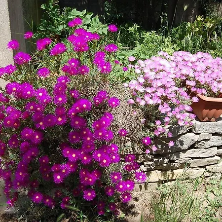 Agriturismo Furfullanu