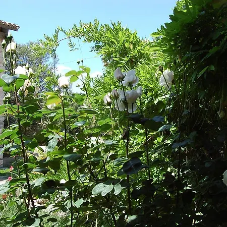 农家乐 Furfullanu *