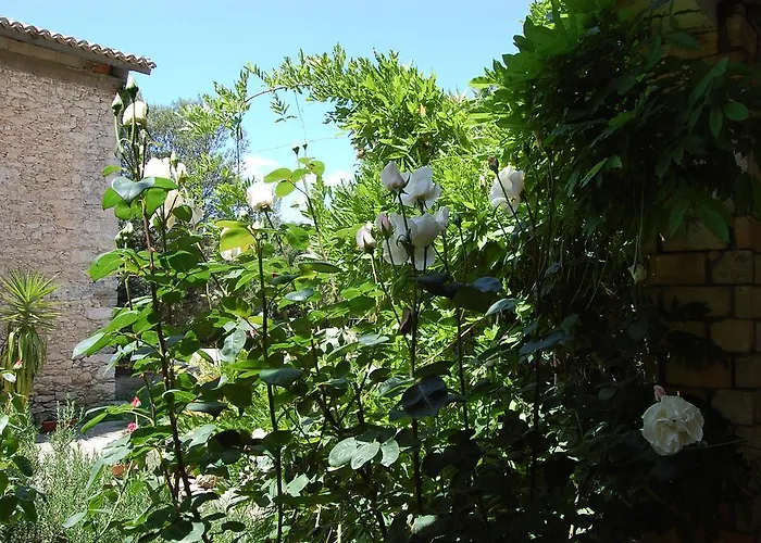 Lantgård Furfullanu *
